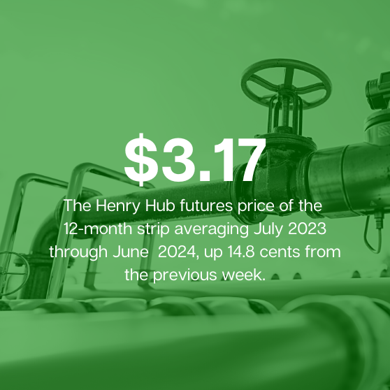 Henry Hub futures price average for next 12 months